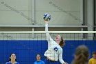 VB vs Plymouth St  Wheaton Women’s Volleyball vs Plymouth St. - Photo by Keith Nordstrom